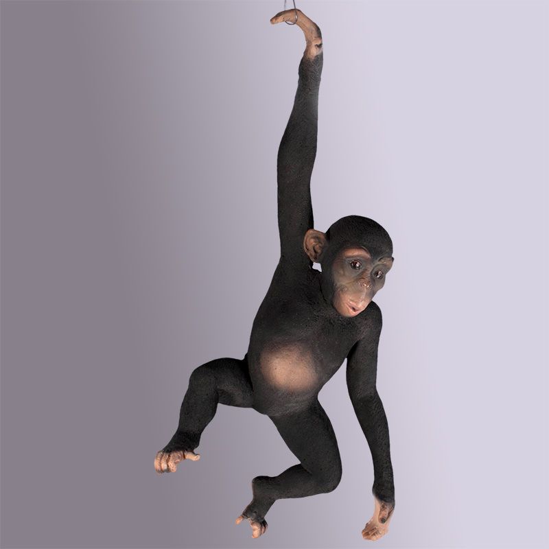 Hanging Monkey Model Hanging Monkey Model