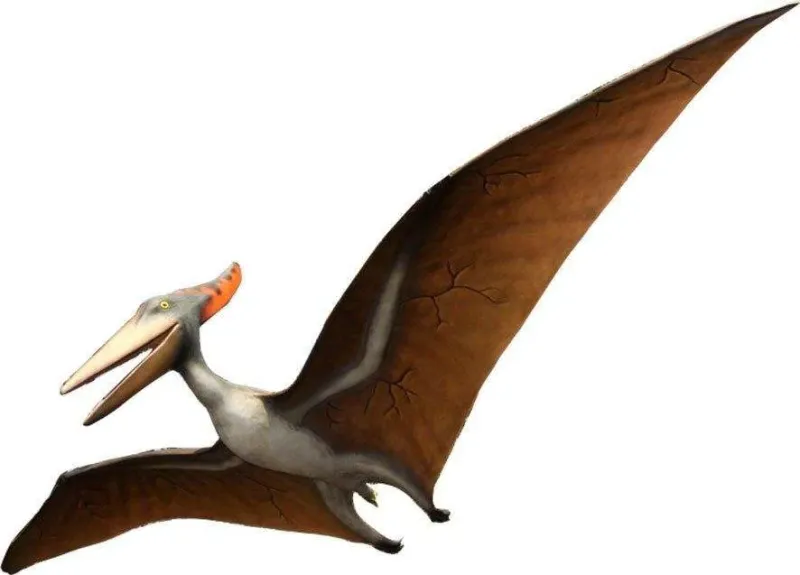 Giant Pteranodon Statue-Gel Coat