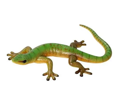 Gecko 80cm