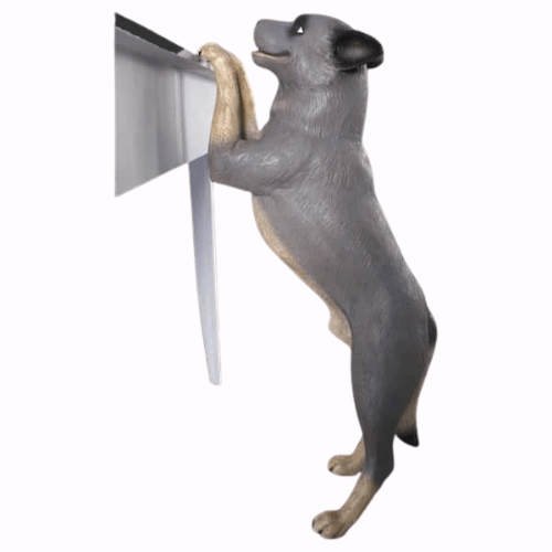 Standing Blue Heeler