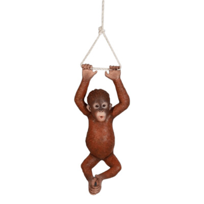 Hanging Baby Orangutan Hanging Baby Orangutan