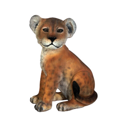 Lion Cub Sitting