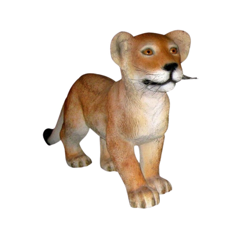 Lion Cub Standing
