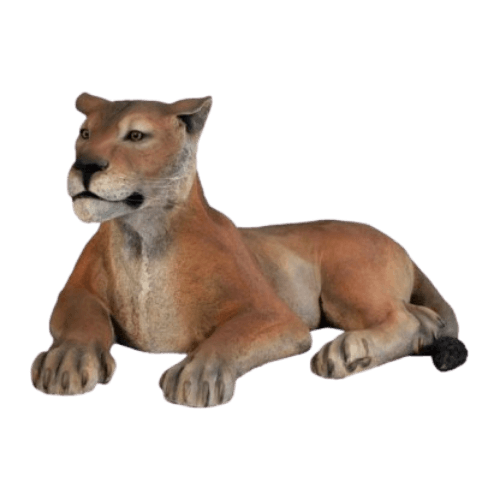 Lioness