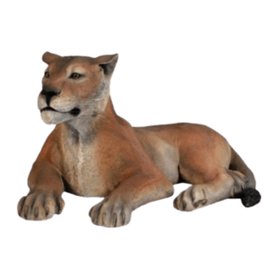 Lioness Lioness