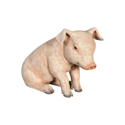 Sitting Piglet Model