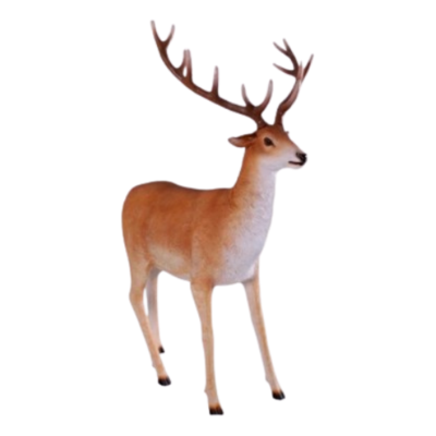 Scandinavian Reindeer