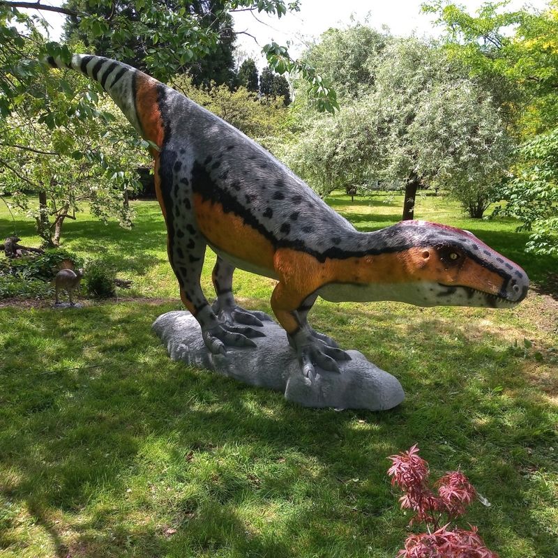 Theropod Model-Gel Coat Finish Theropod Model-Gel Coat Finish