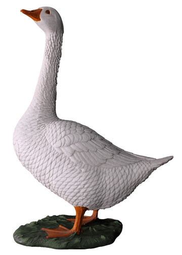 Goose