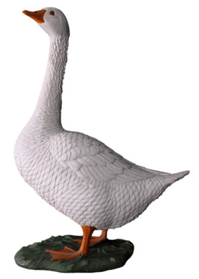 Goose Goose