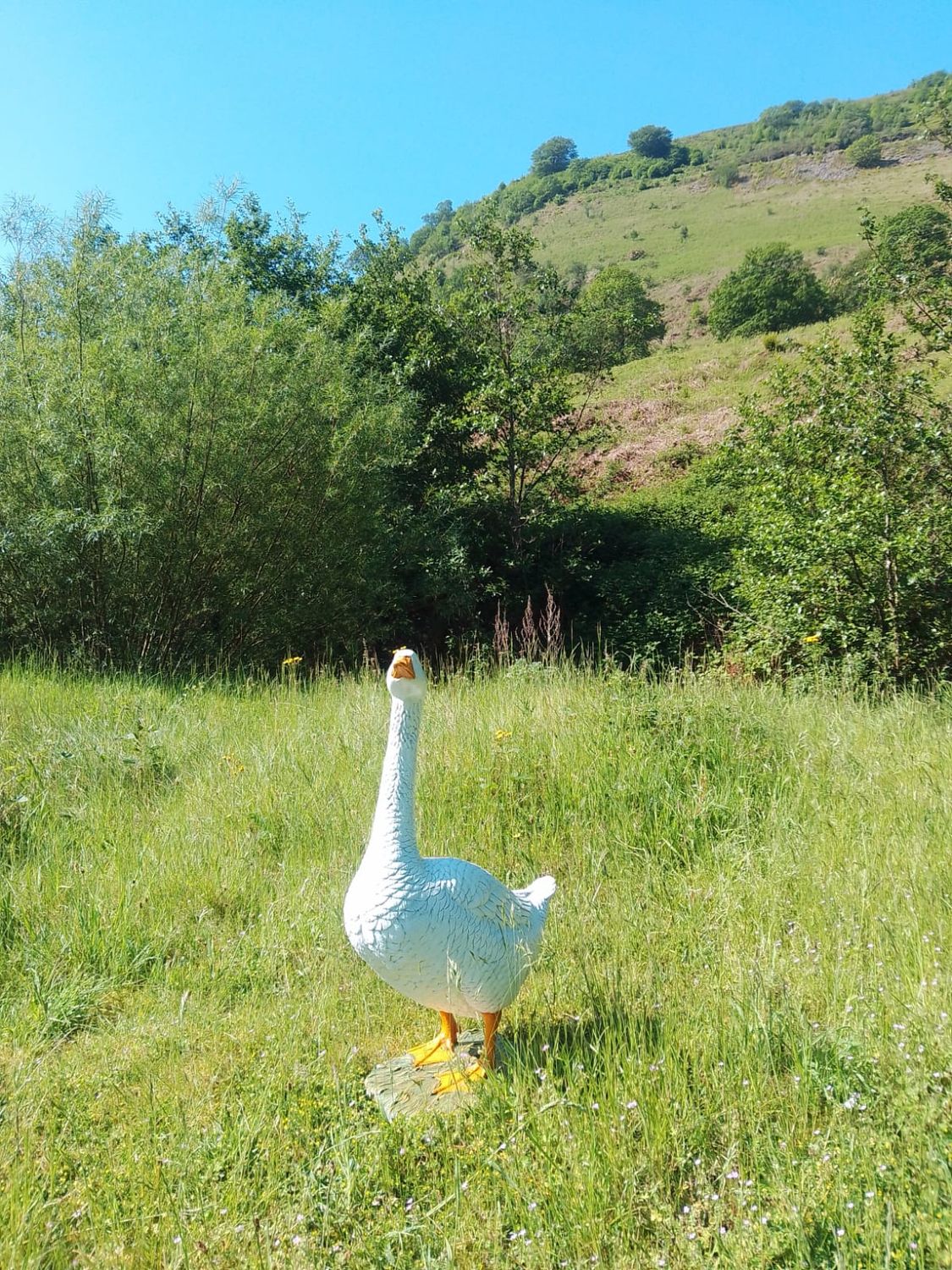 Goose Goose