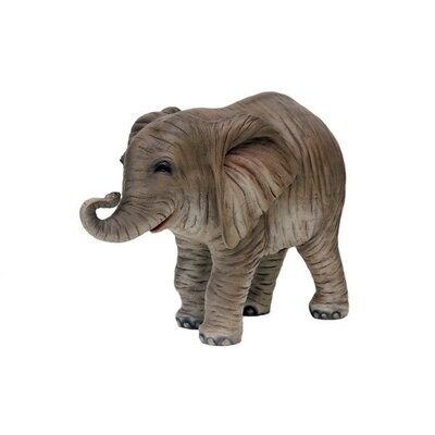Elephant Calf Elephant Calf