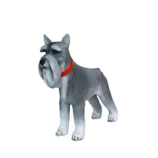 Mini Schnauzer Salt and Pepper