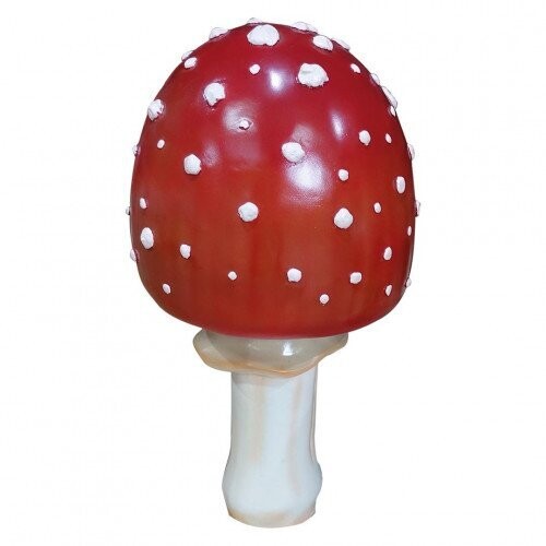 Toadstool Toadstool