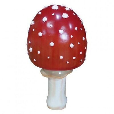 Toadstool Toadstool