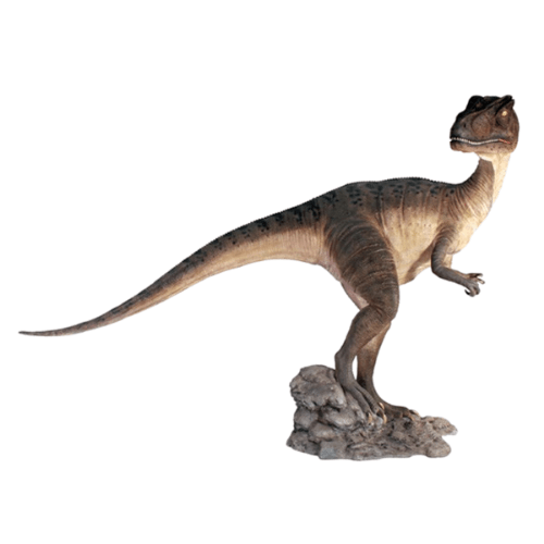 Allosaurus Mouth Closed-Gel Coat Model Allosaurus Mouth Closed-Gel Coat Model