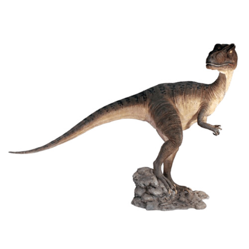 Allosaurus Mouth Closed-Gel Coat Model