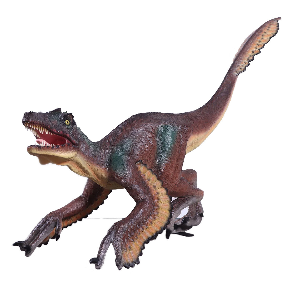 Feathered Velociraptor Dinosaur Model