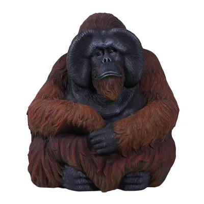 Sitting Orangutan Sitting Orangutan