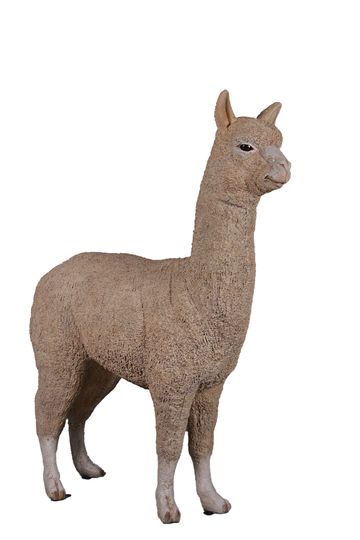 Alpaca Statue
