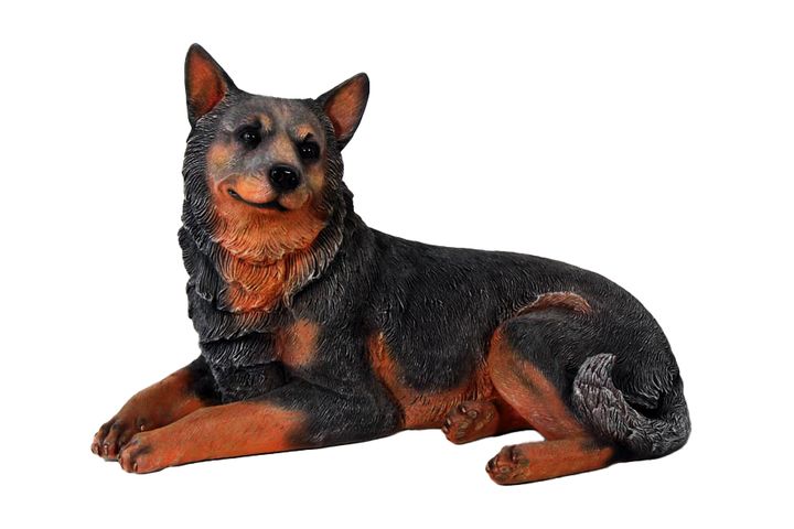 Blue Heeler Lying Down