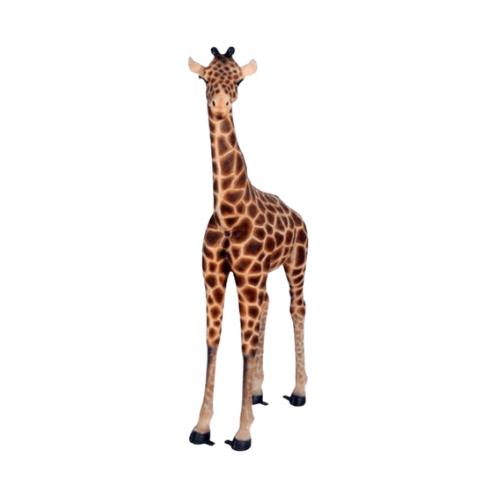 Baby Giraffe 6ft Model Baby Giraffe 6ft Model