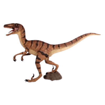 Velociraptor Model-Orange Velociraptor Model-Orange