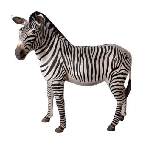 Zebra Model