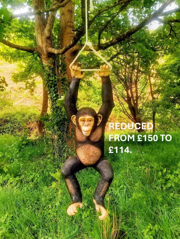 Hanging Chimp Model Hanging Chimp Model