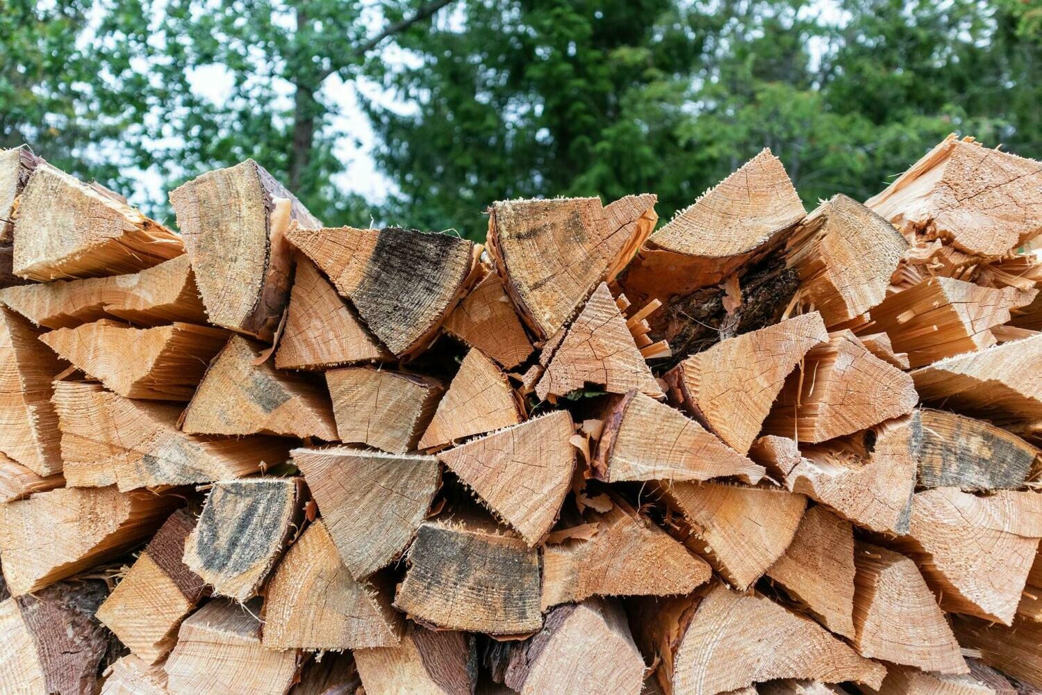 Seasoned firewood