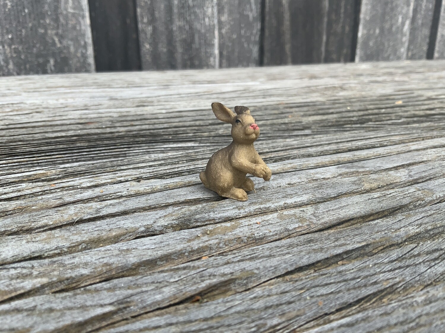 Hase stehend