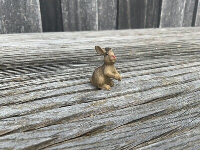 Hase stehend