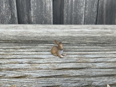 Hase liegend