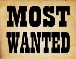 zider.at - MOST WANTED Shop