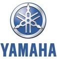 YAMAHA RadiusX Centrifical Force Clutch