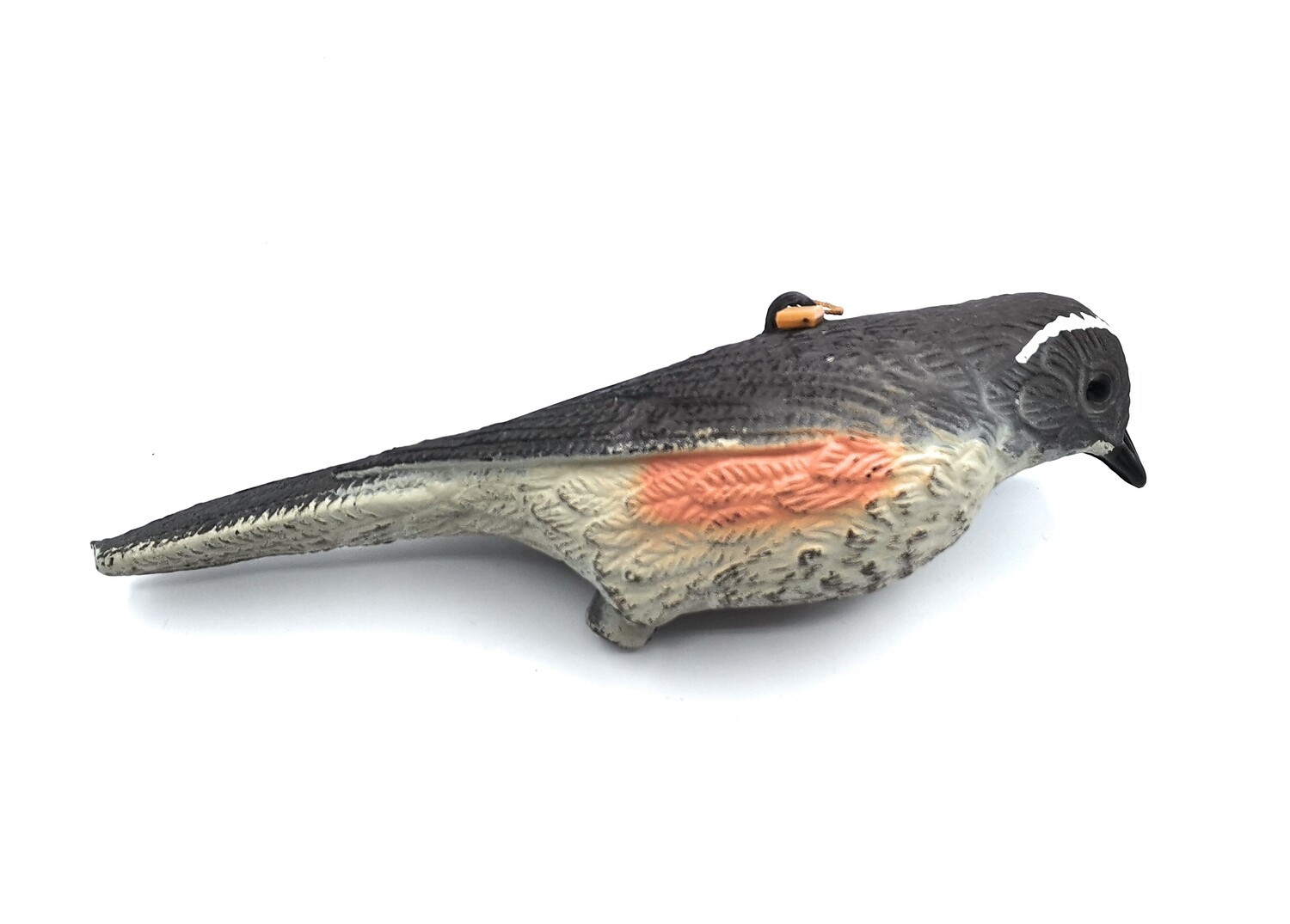 Figura zorzal
