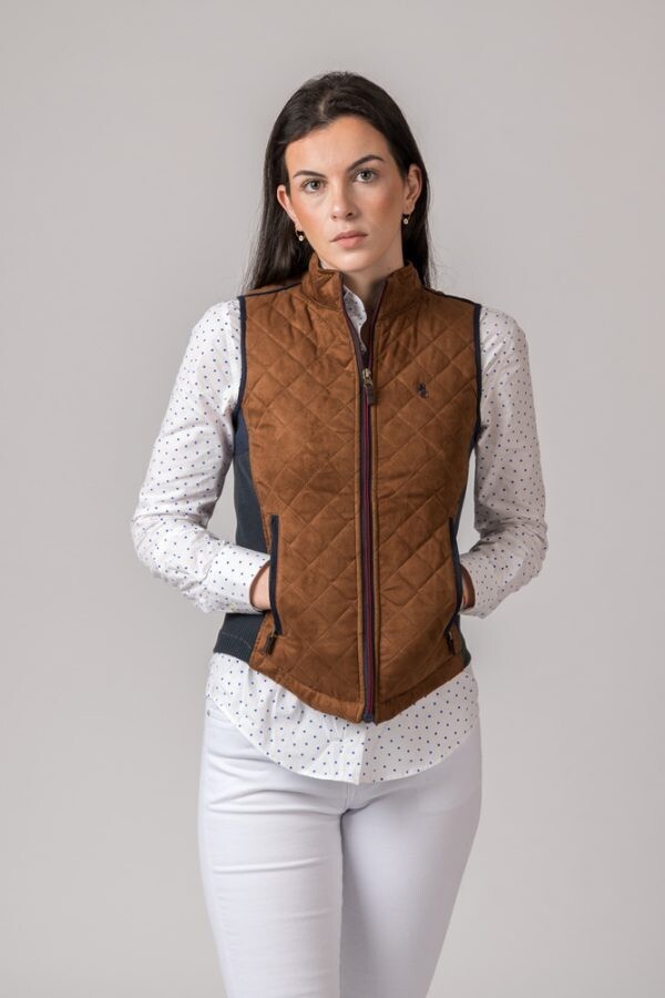 Chaleco BRITIS COTTON acede marron