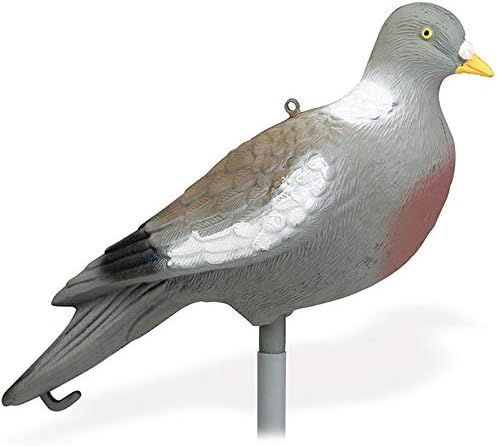 Paloma cimbel sin patas