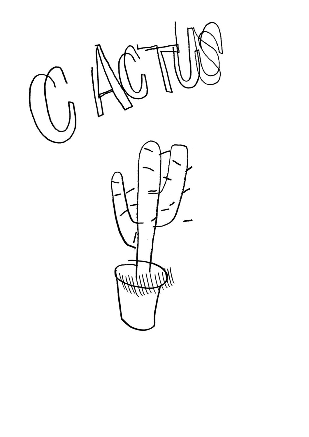 Dessin sans regarder d'un cactus (à rempoter)