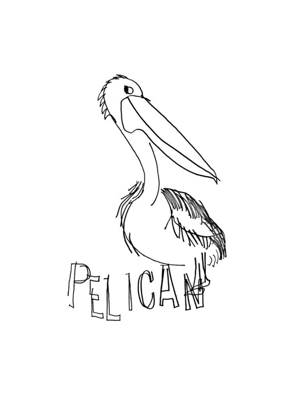 Dessin sans regarder d'un pélican (au regard malicieux)