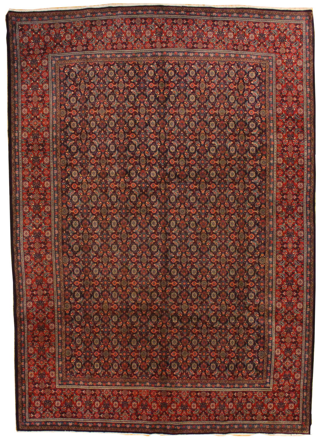 Tabriz  - 8.5 x 11.7