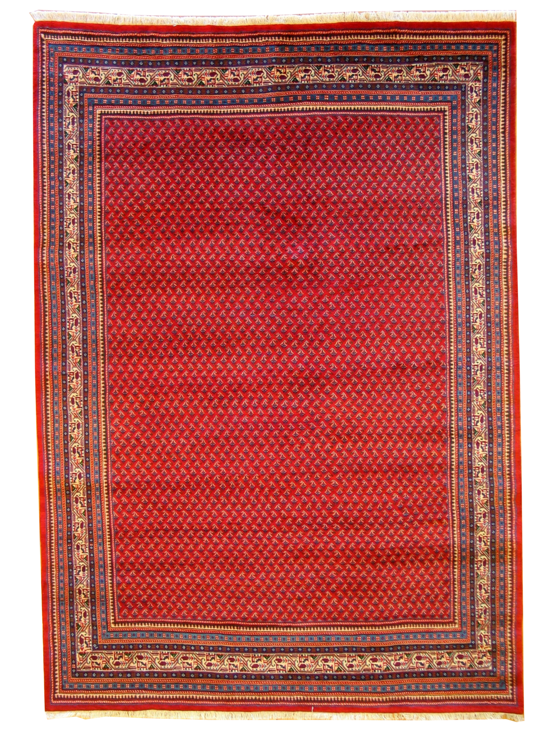 Sereband - 7.2 x 10.2
