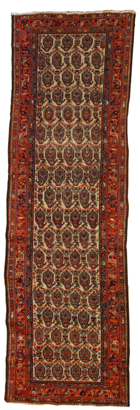 Sereband - 3.11 x 12.6