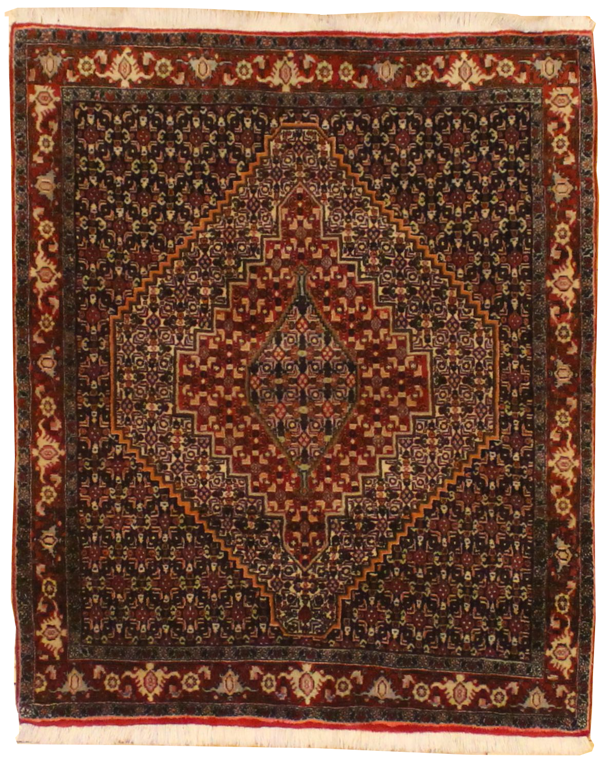 Senneh - 4.1 x 4.11