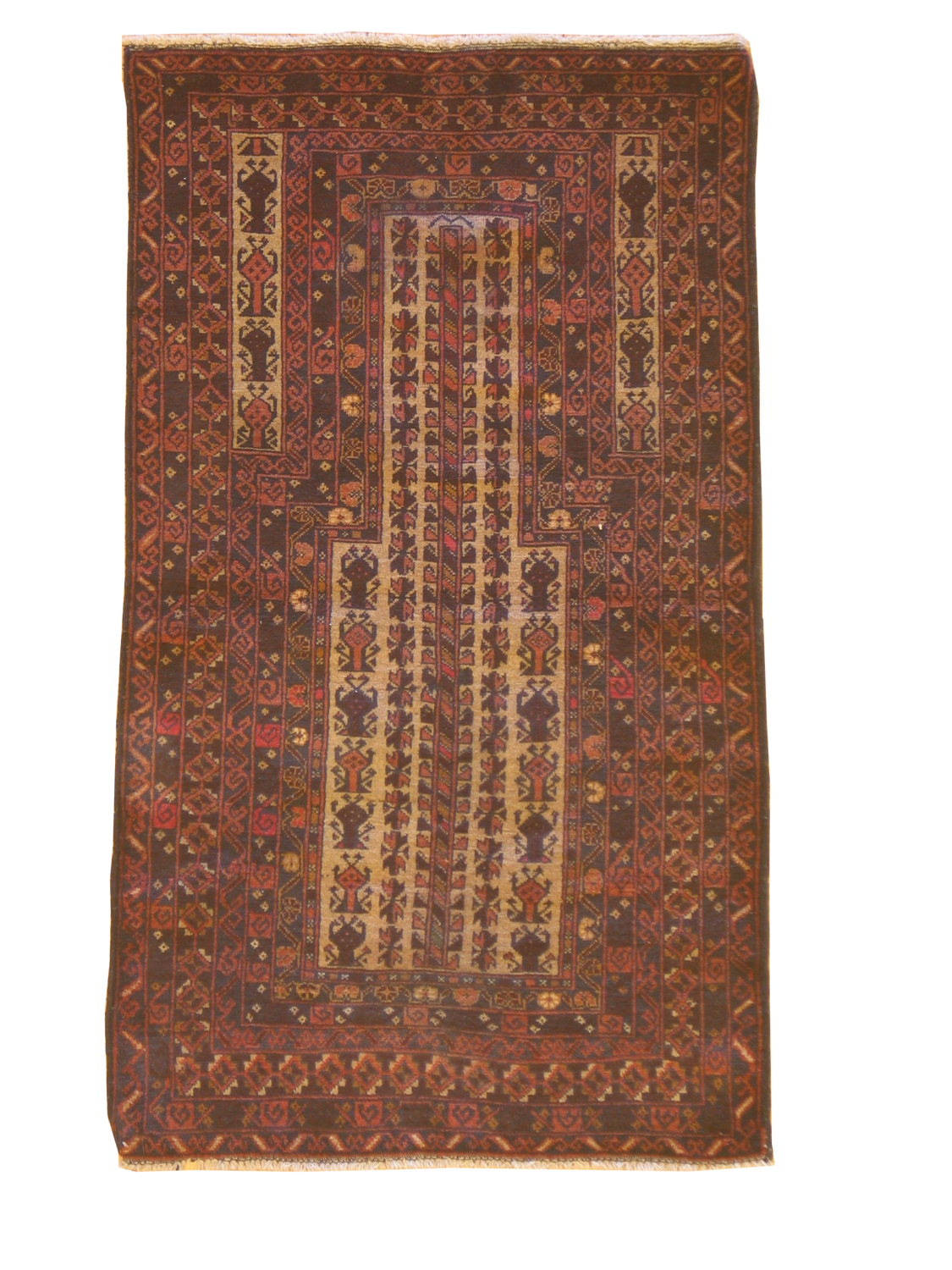 Beluchi - 2.9 x 4.9