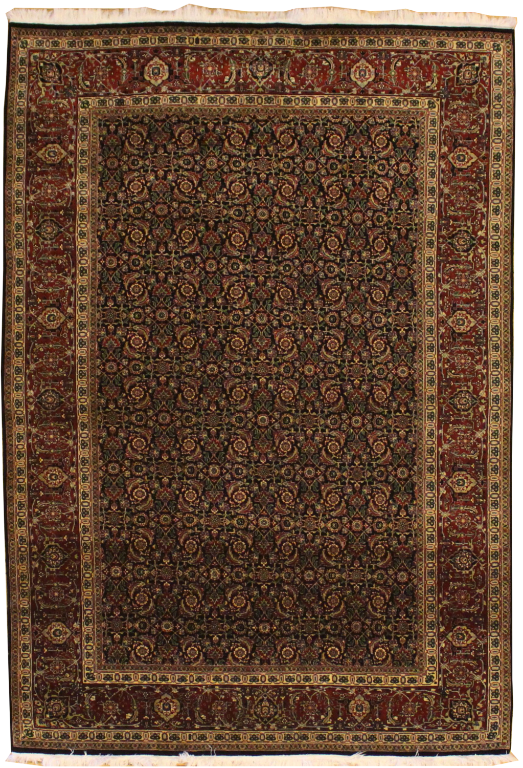 Indo Mahi - 6.0x8.9