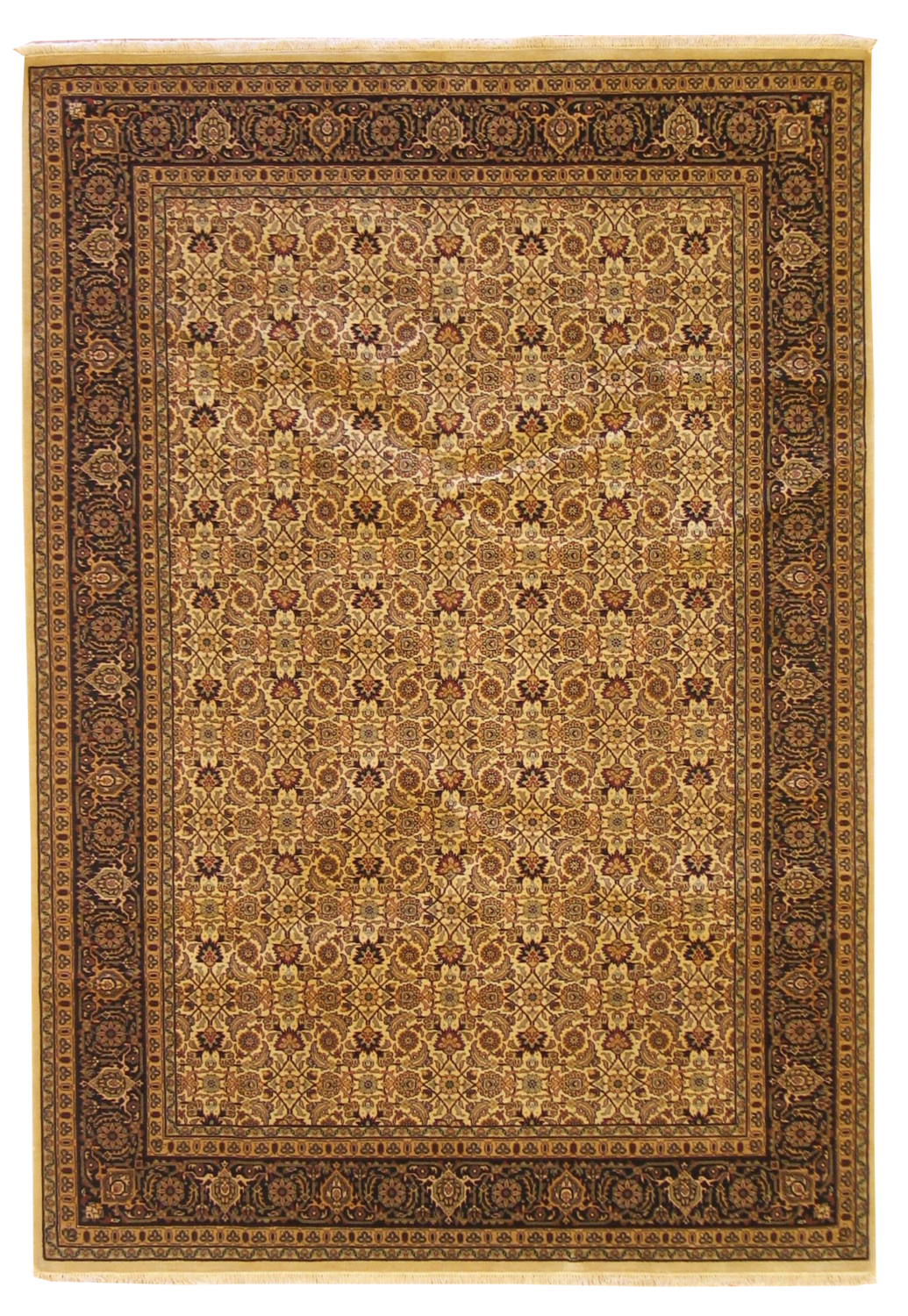 Mahi - 6.1x8.10