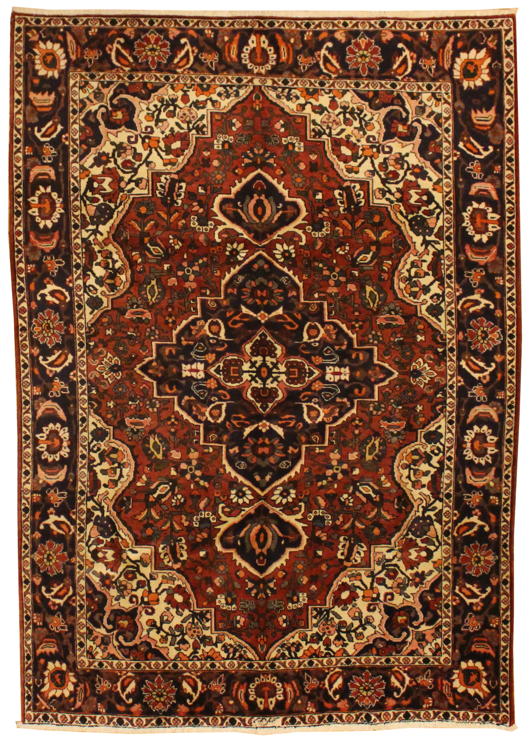 Persian Baktiari - 6.8 x 9.7