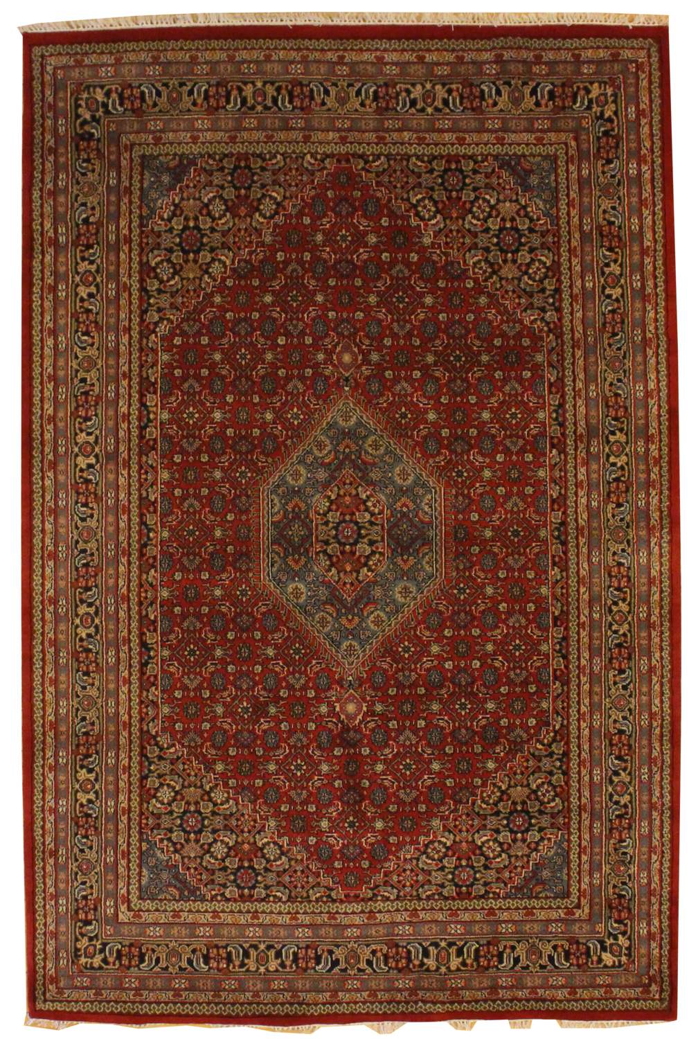 Bidjar-H - BI-5001 - 6.6x9.11