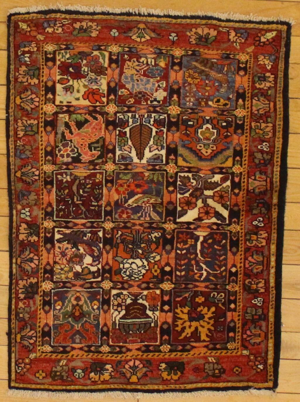 Baktiari - 3.4 x 4.7